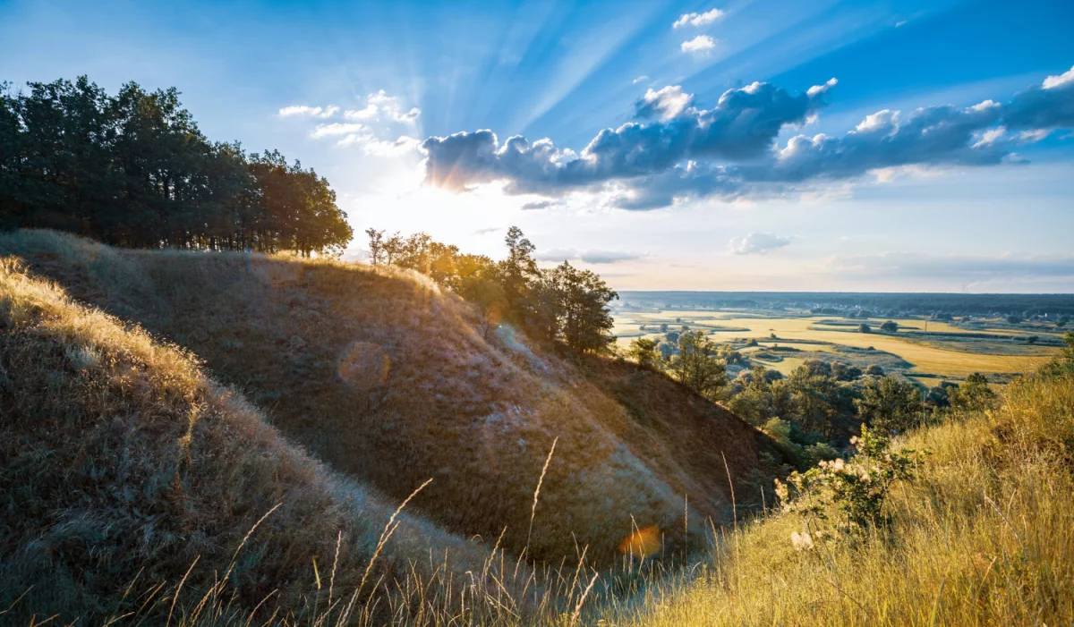 Jak w 2023 skuteczniej  dobrać części?