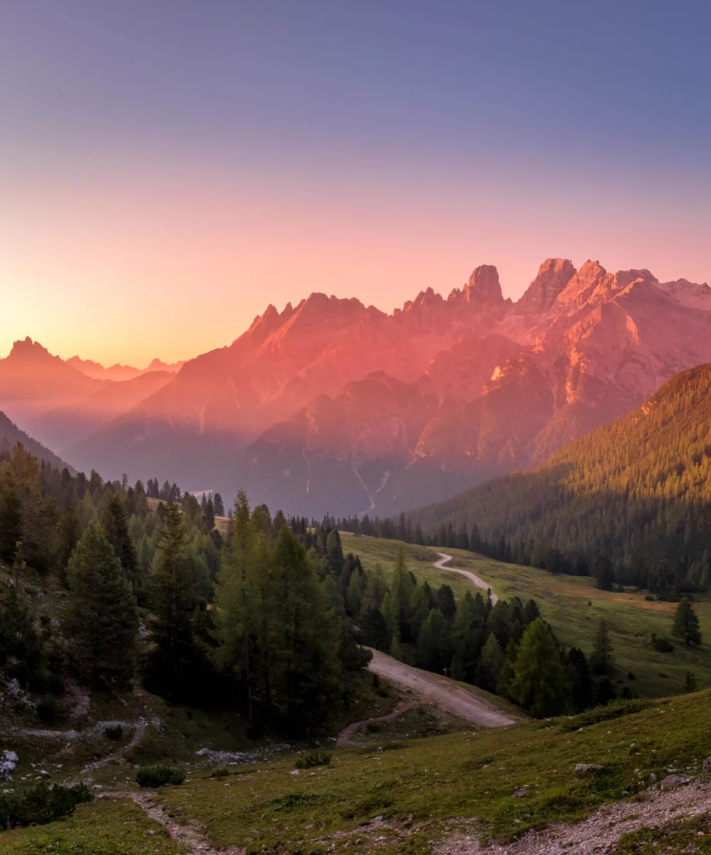 Te porady jak odgrzybić mieszkanie zaskoczą nawet profesjonalistę!
