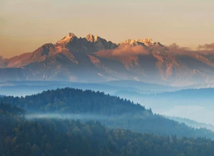 Chciał Tylko zareklamować biznes. Popełnił Błąd, Który Kosztował Go ...