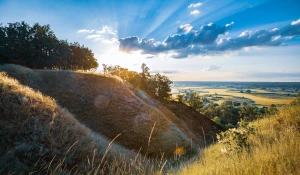 Kto nie musi szkolić się z cyberbezpieczństwa?