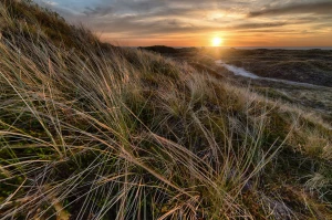 wykonać odbiór elektroodpadów w Białymstoku dobrze?