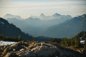Duża skuteczność w tym jak opublikować artykuły