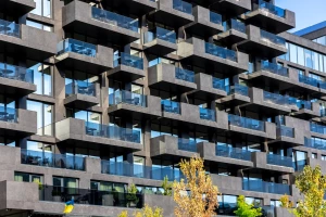 Ogólnie o kuchni wege